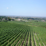 vista