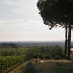 vista2