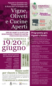 vigne, oliveti e cucine aperti loc. def